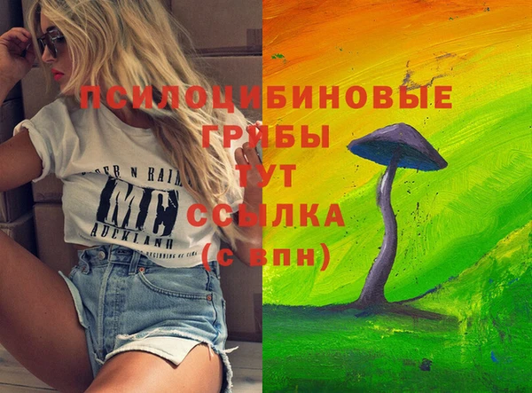 дурь Алзамай