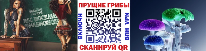 Псилоцибиновые грибы Psilocybe  гидра сайт  Гусь-Хрустальный 
