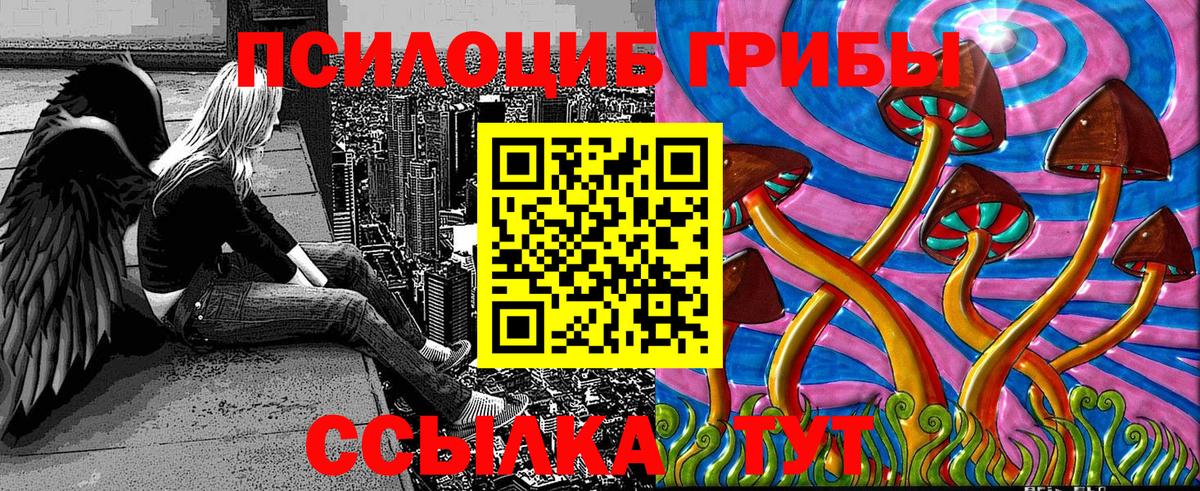 цены наркотик  Псилоцибиновые грибы ЛСД  Вход с VPN  Гусь-Хрустальный  Галлюциногенные грибы прущие грибы 