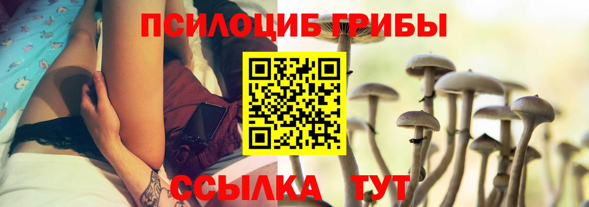 Галлюциногенные грибы Cubensis Гусь-Хрустальный